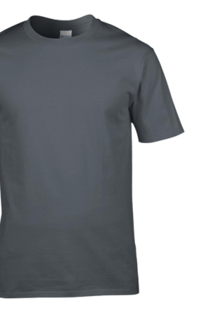 Gray t-shirt premium